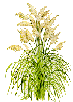 1433.gif (5627 bytes)