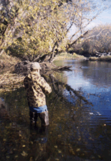 fishing.gif (56400 bytes)