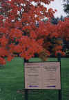 Rogers Environmental Center in the Fall